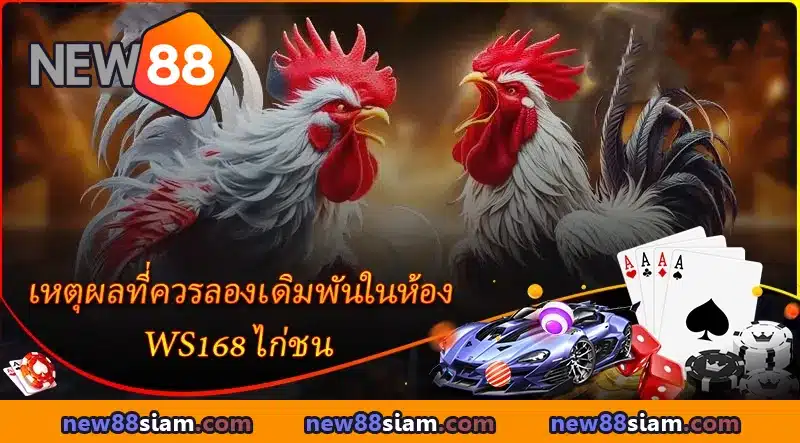 เดิมพันไก่ชนออนไลน์ที่ WS168 ลุ้นสนุก พร้อมรับกำไรเต็มมือ